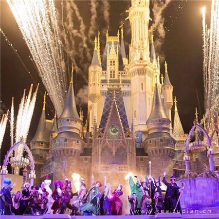 宠爱背后的花心