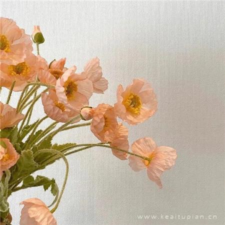 生活小调