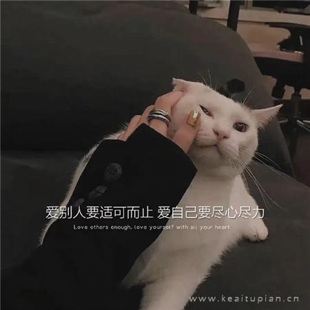 冬天里的一场雪