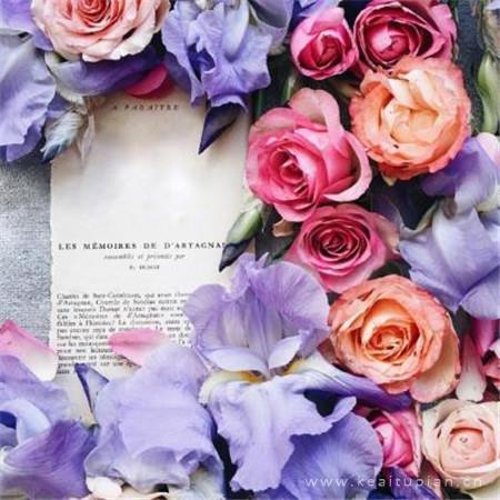 欠你的一滴眼泪