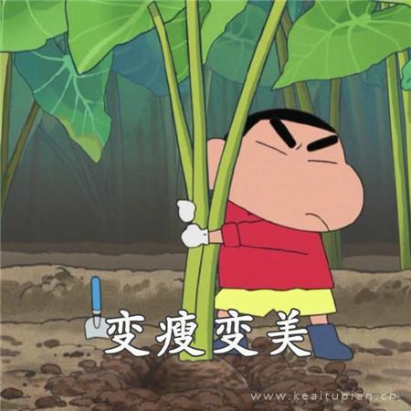 描写冬天的美文摘抄