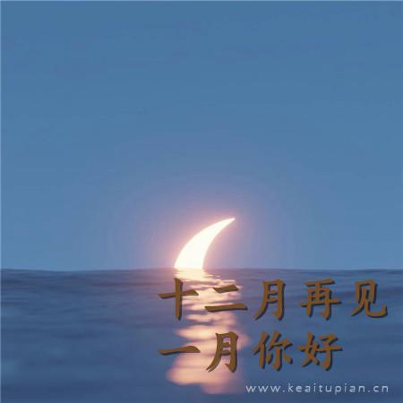 “十三格格”和她的小狗