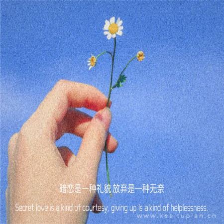 因着平凡的镶嵌，精彩才那么的精彩！（一）