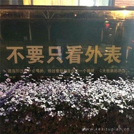 我的婚姻里也可以有柔情