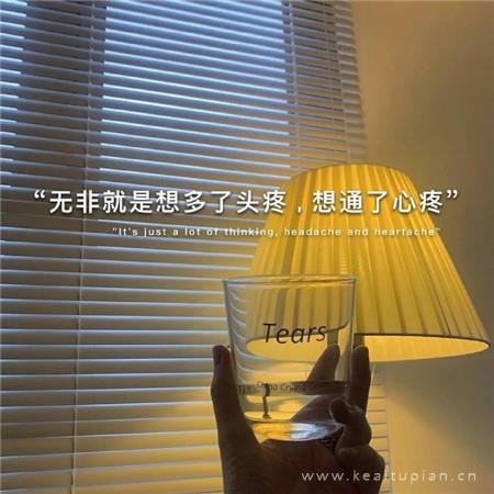 挽住桃花不许落