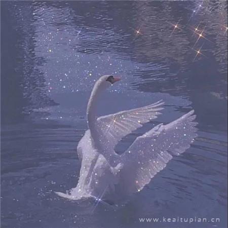 然乌湖畔的爱情