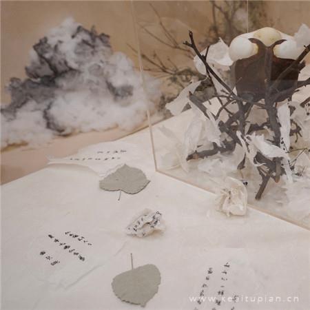 人如果没有理想，那跟咸鱼有什么分别？