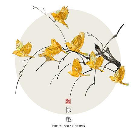 青葱总有遗憾