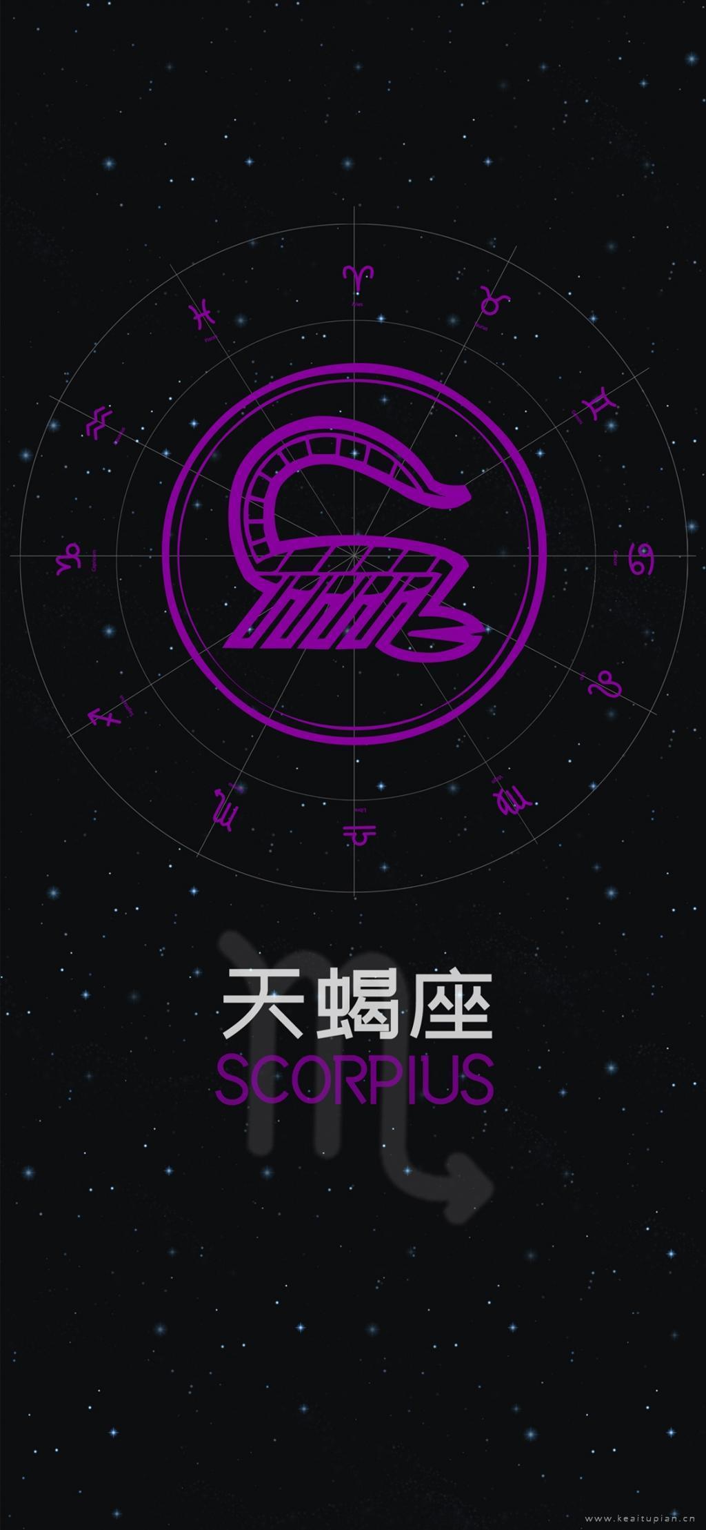 癞蛤蟆和天鹅的爱情