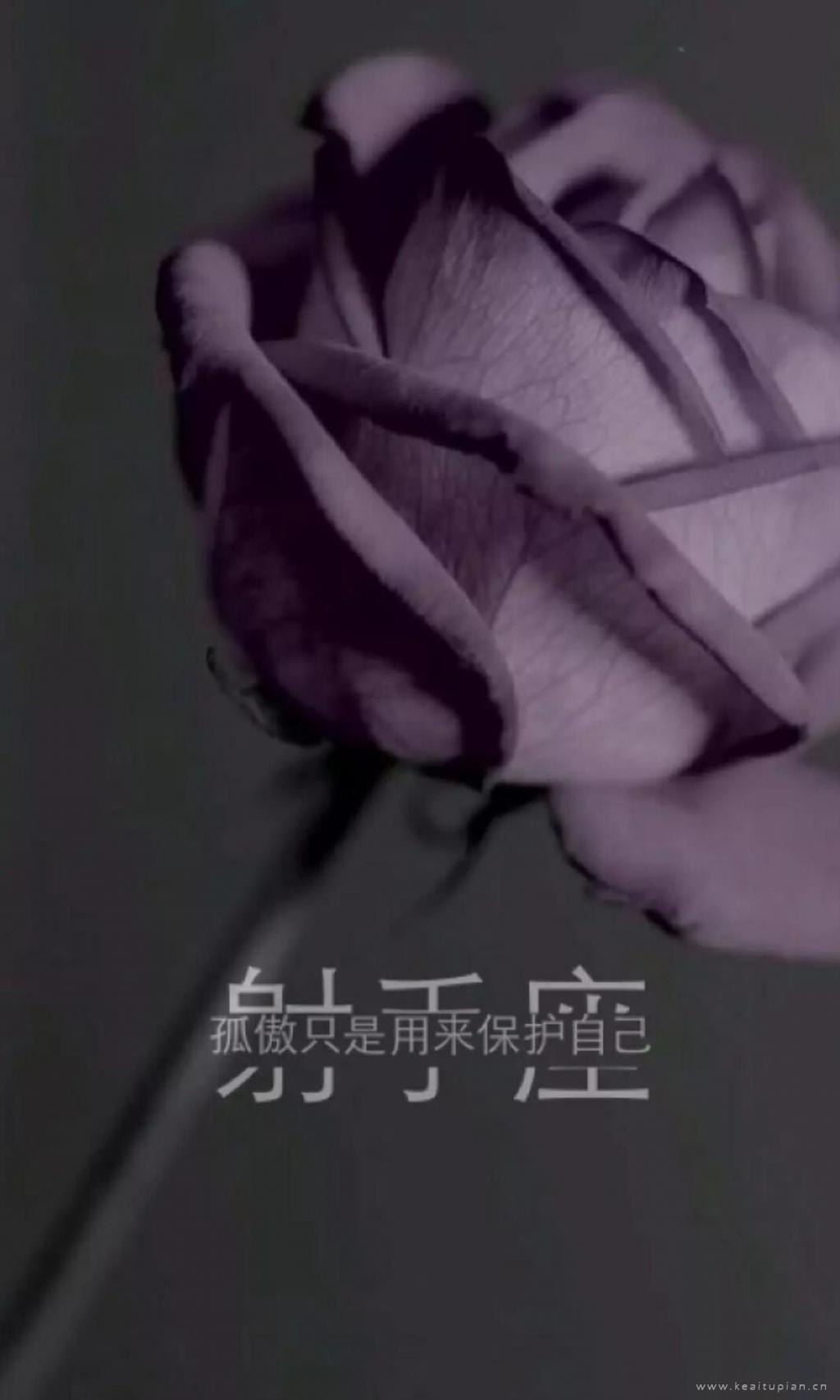 初恋成伤，纠结难忘