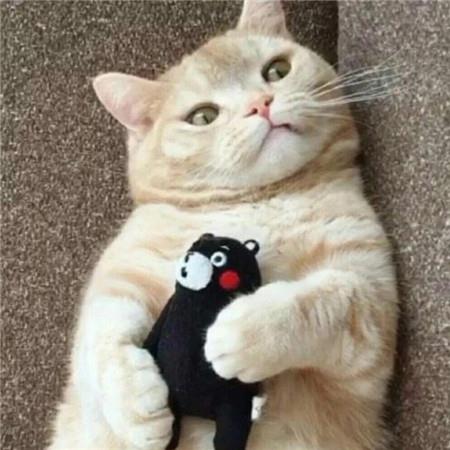 100句个性短语心情短语 心情短语