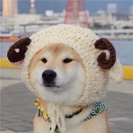一纸零碎