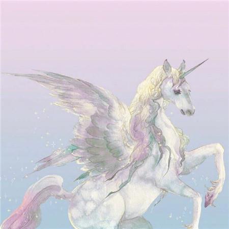 山月不知心底事