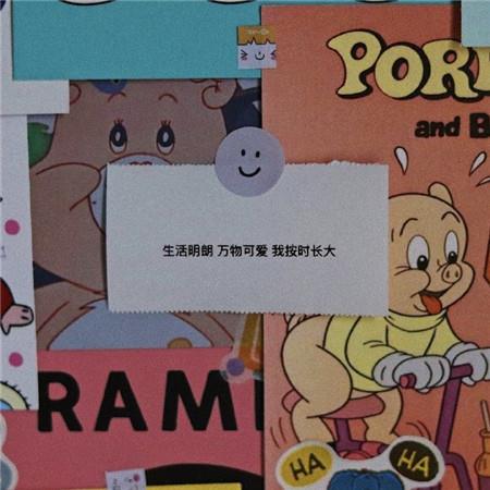 流年似水，许一场春暖花开，温暖过往