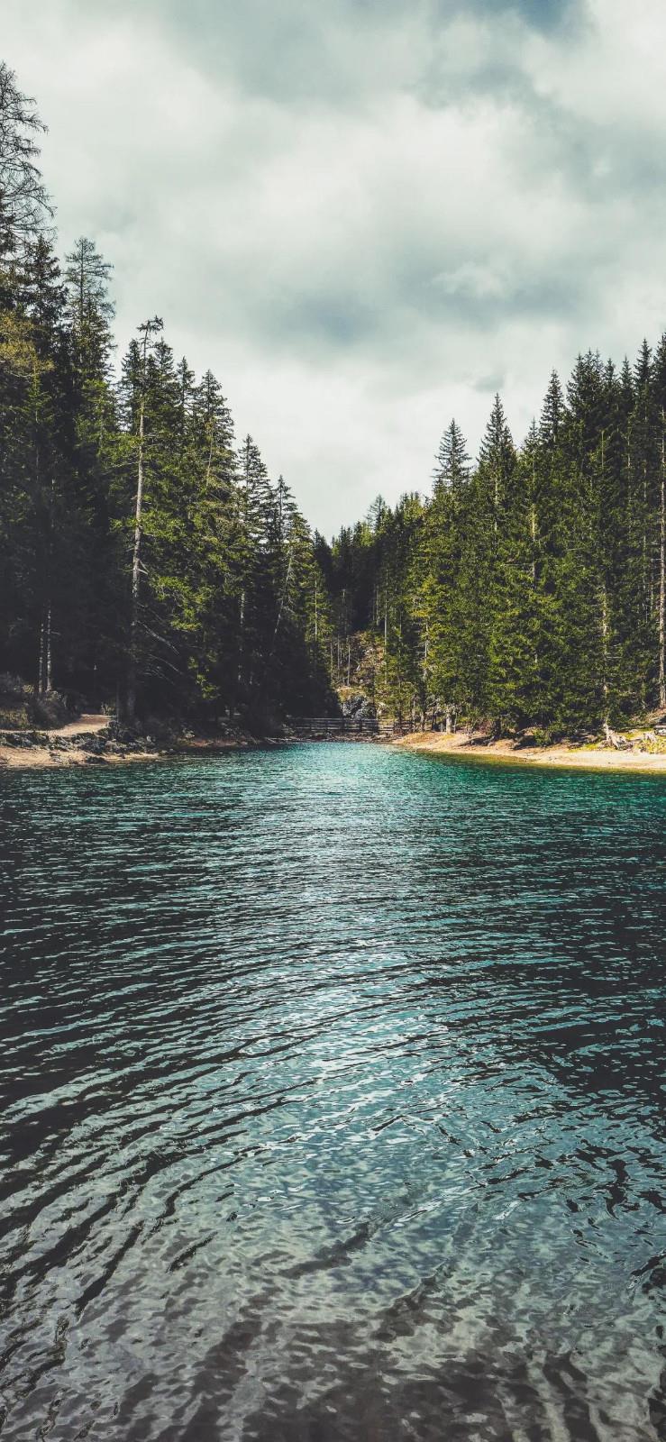 真正的美丽，不是青春的容颜，而是绽放的心灵