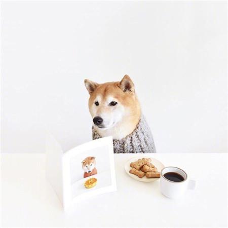 死了都要爱