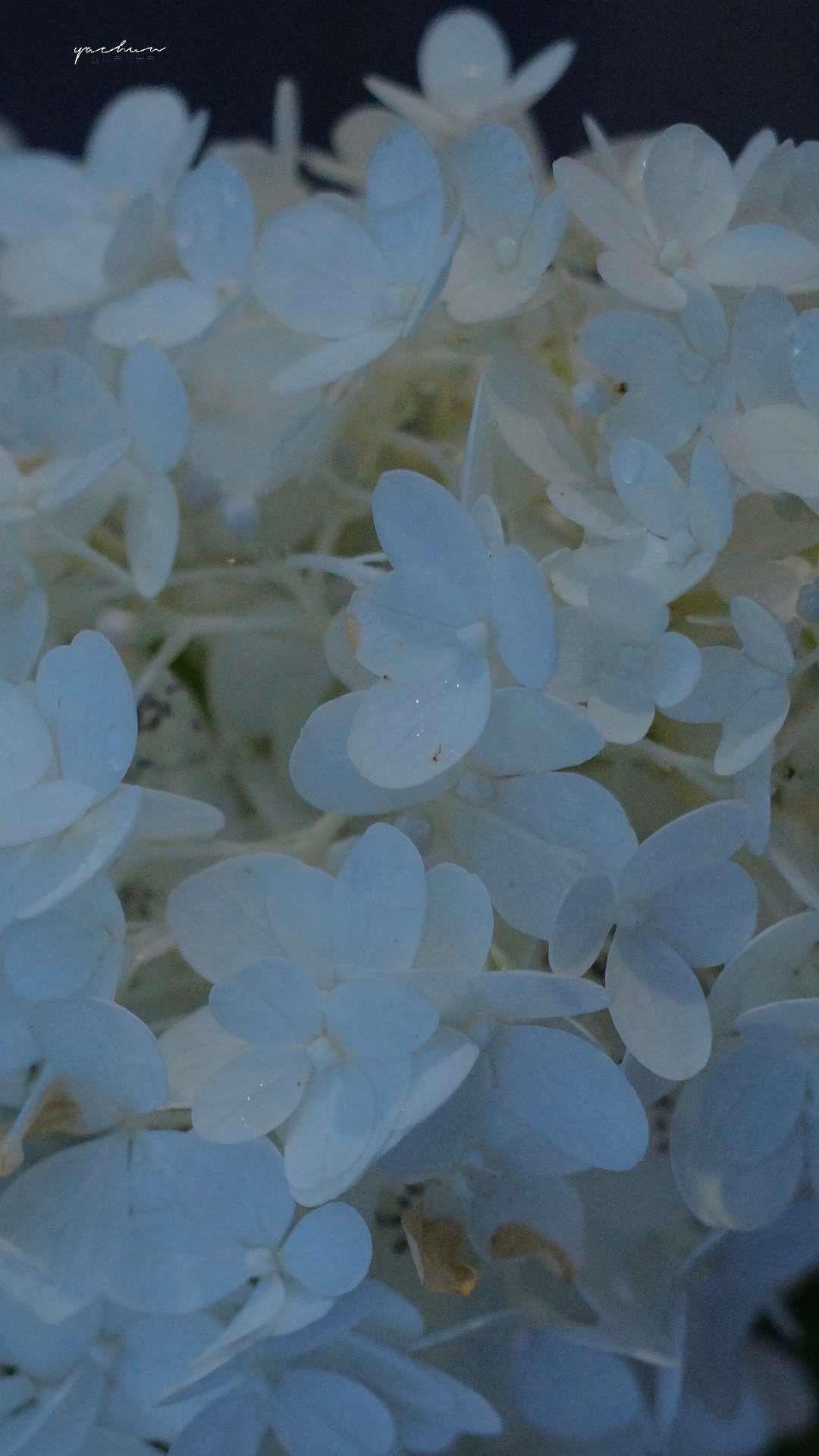 6个男人不爱分享的“私密”！千万别踩地雷哦