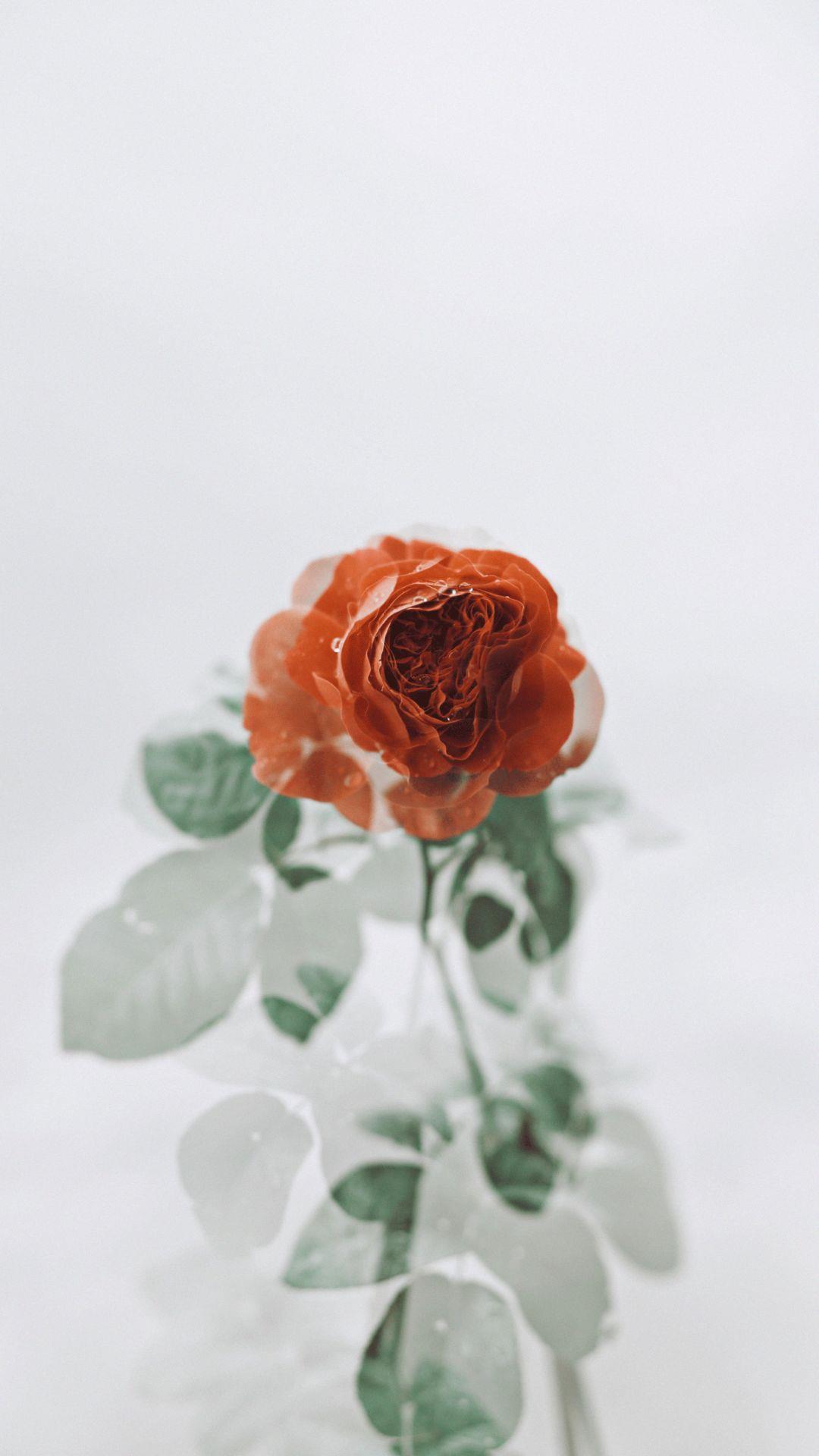 小沈阳经典语录-堪称史上最强