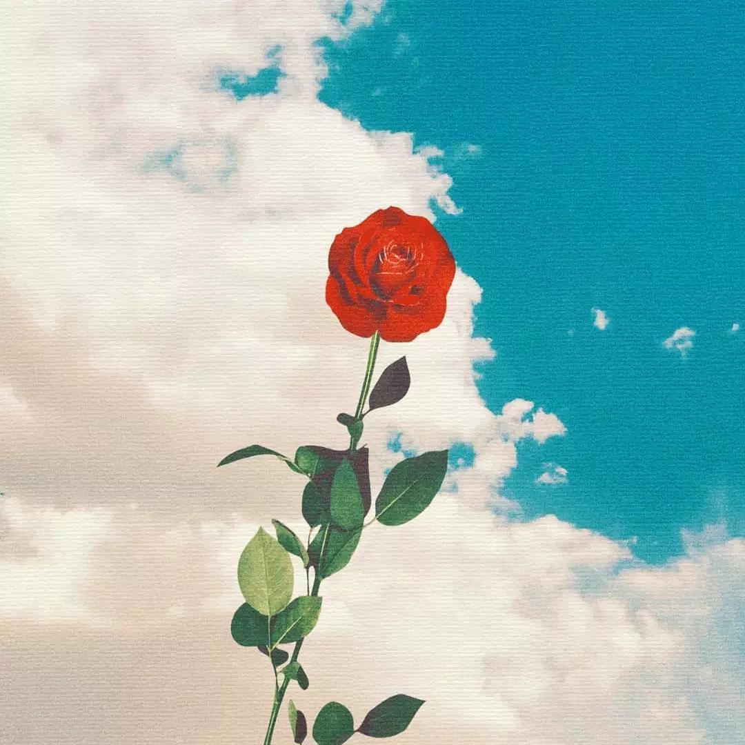 温暖是双向的