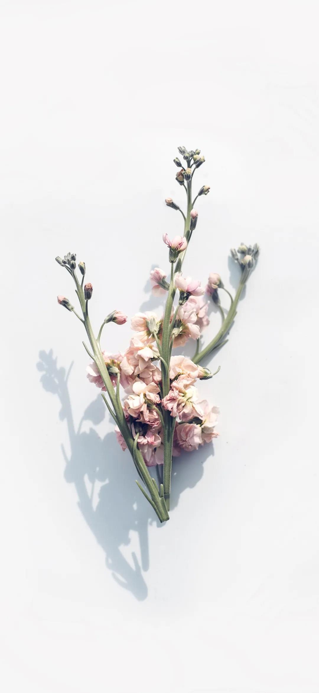 笑破你的肚子的整人的话，搞笑短句