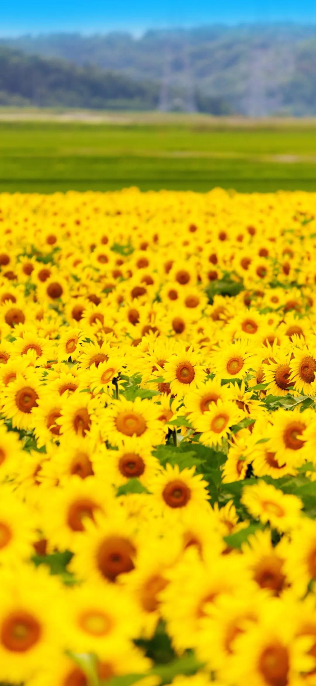 做人不能太贪婪，活着不能太浪费。