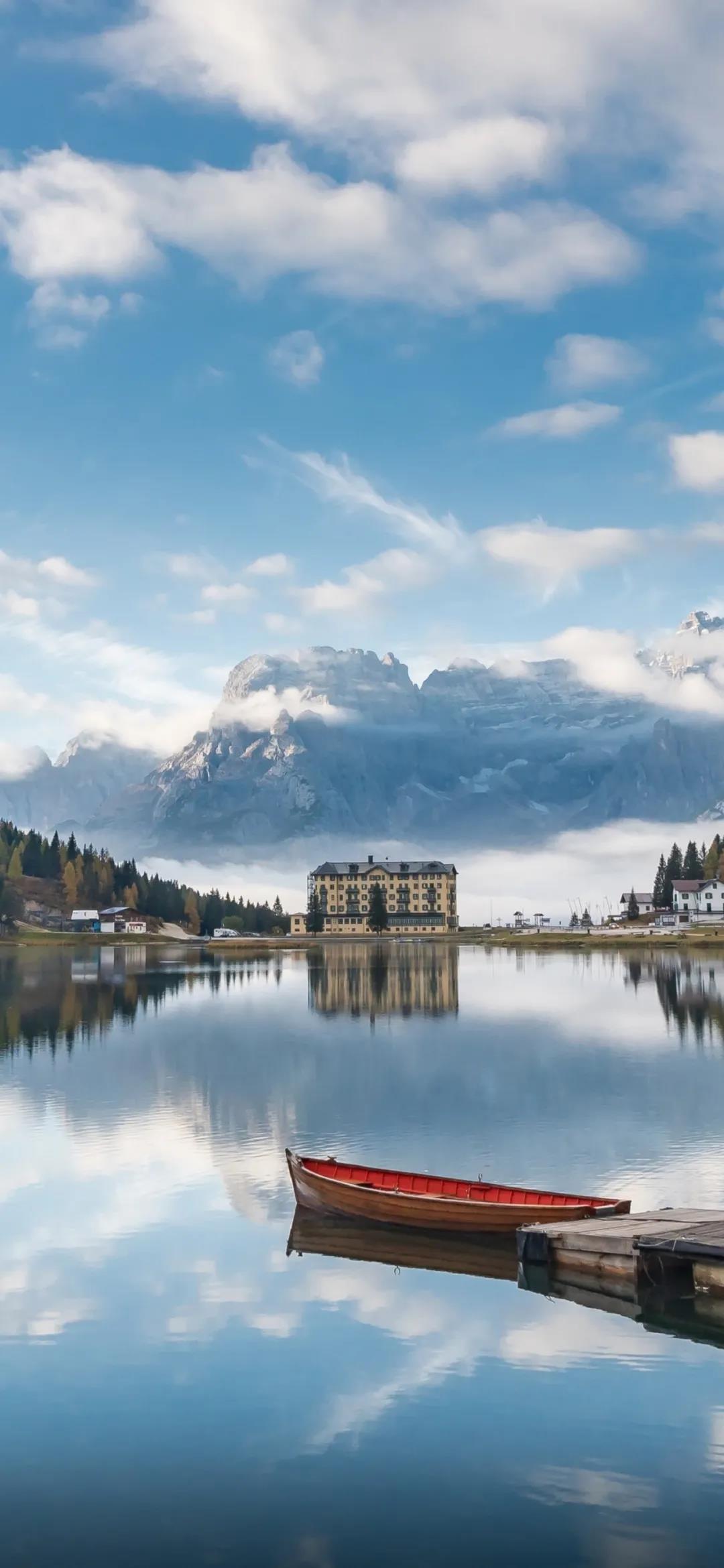 矮冬青之赞散文