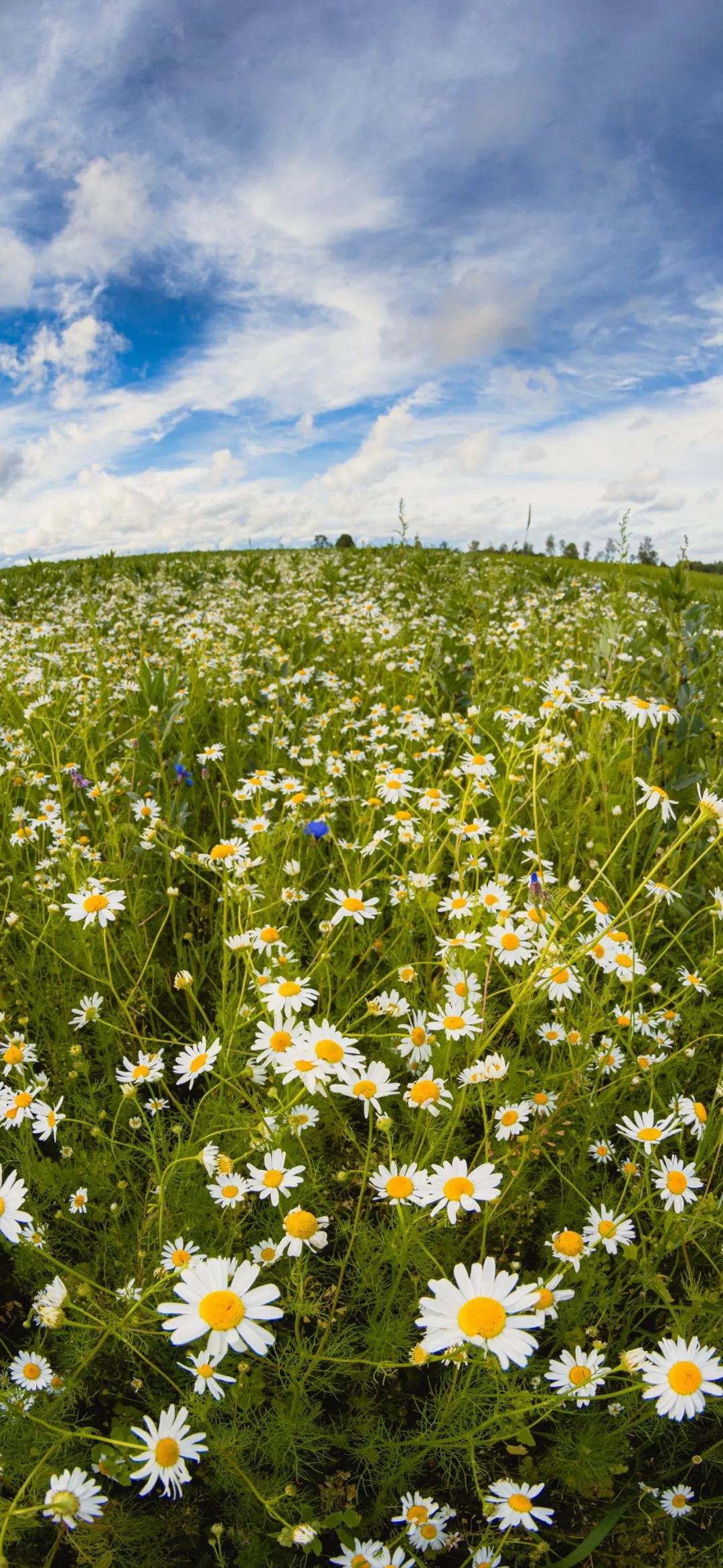 睡前晚安暖心话给爱人英语·晚安句子