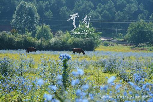 啊不行这是在阳台不可以做 把女人干到不能走路