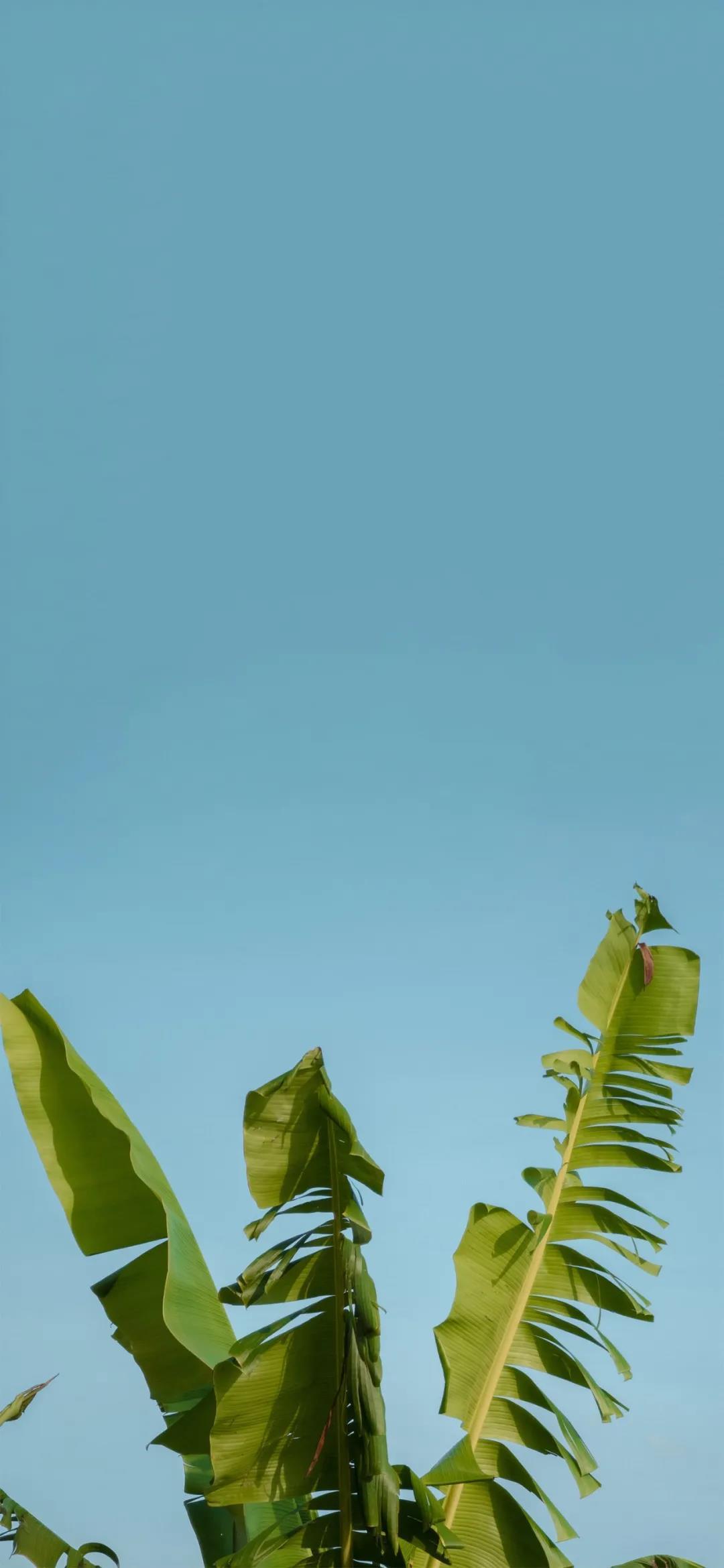 怪异的光碟