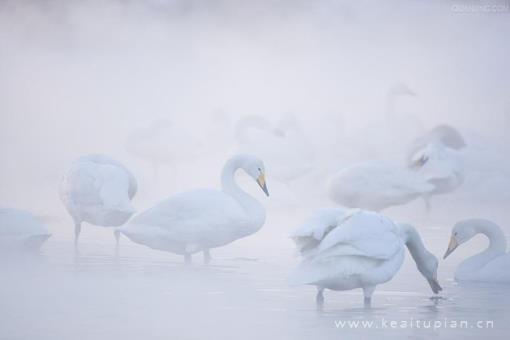 简陋房嫖妓泻火偷拍 牲欲强的熟妇农村老妇女