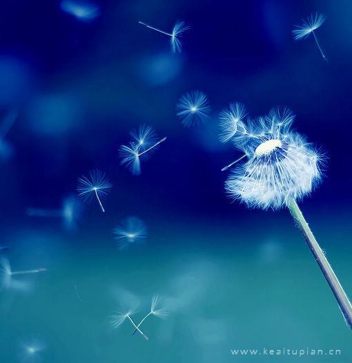 描写春天田野的优美句子