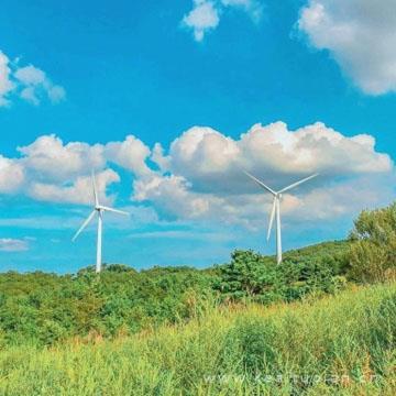 人生感悟文章：所有的苦，以后都会笑着说出来