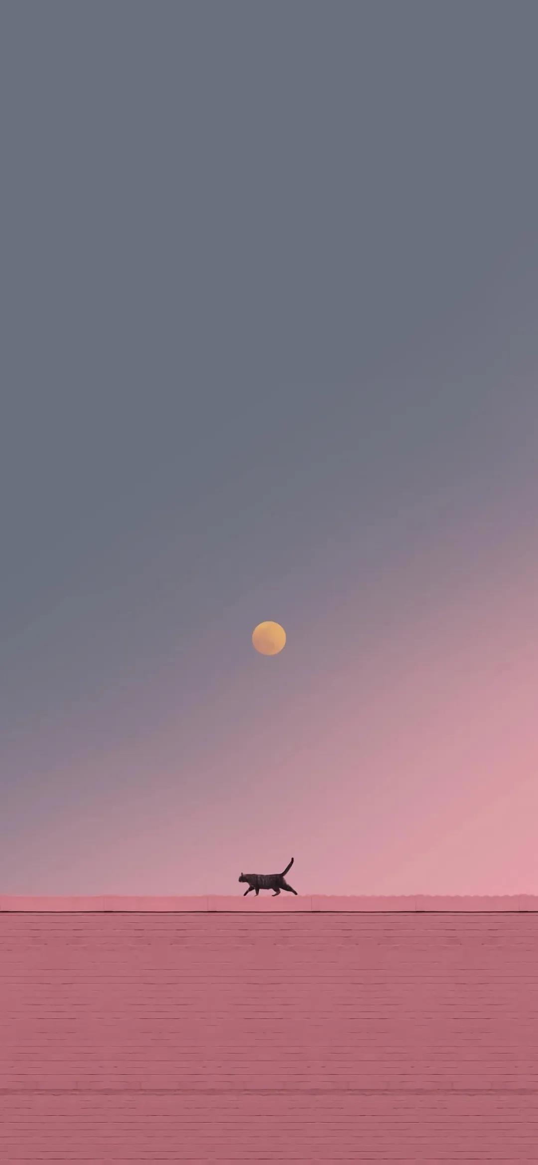 残梦今生，微笑流年