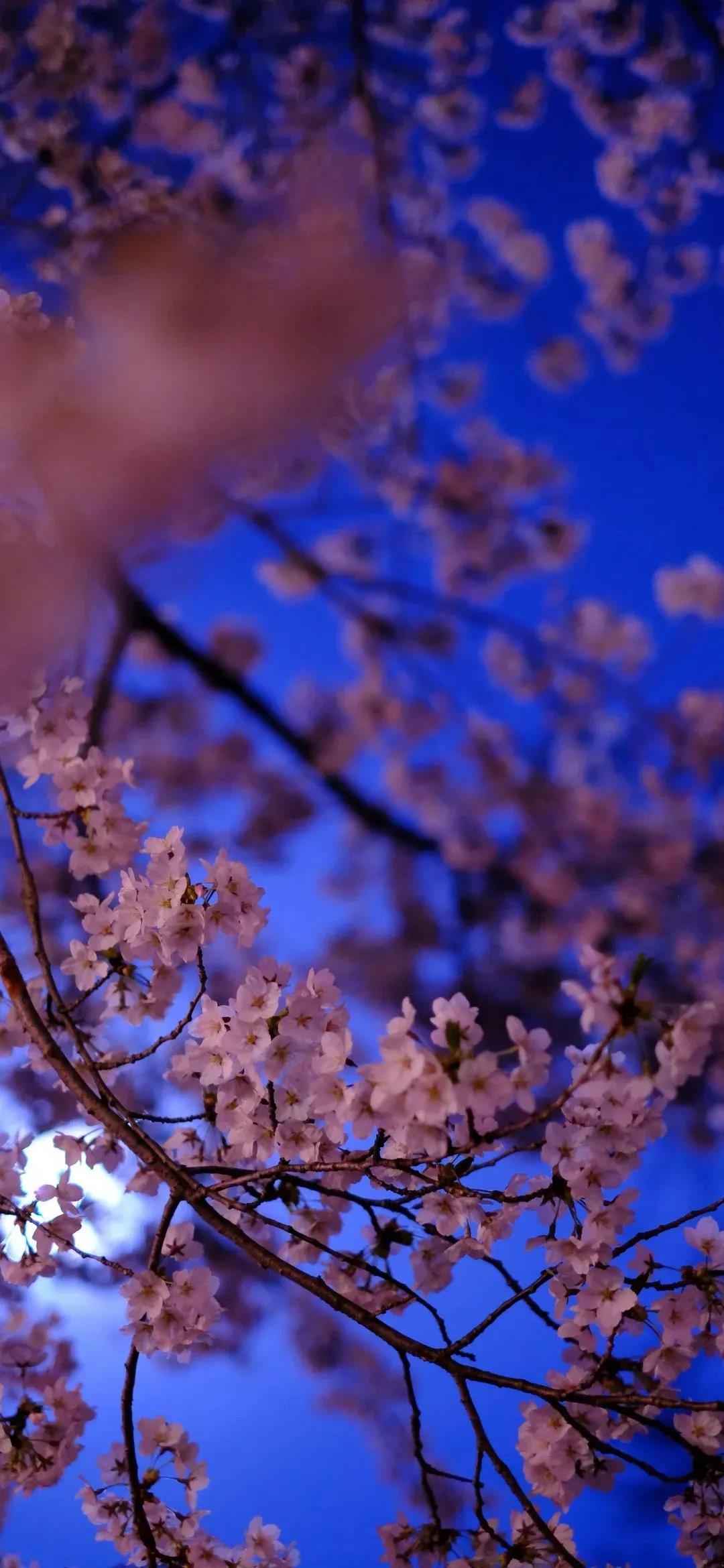 励志的句子致自己简短 简短致自己的励志句子