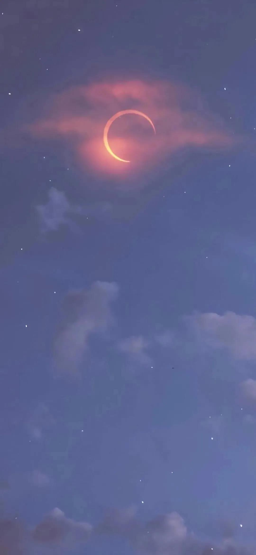 幽居夏季