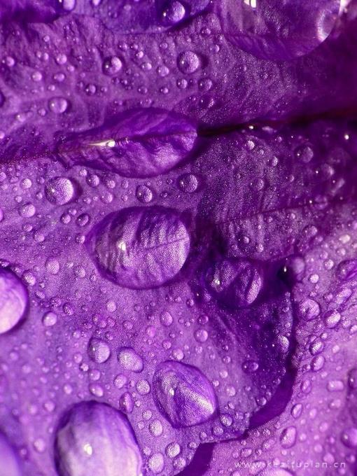 qq说说心情短语，经典说说心情短语