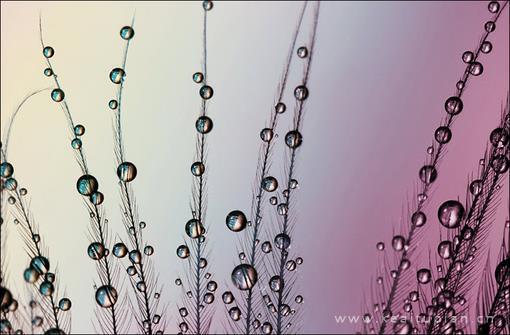 幸福就是你的抱怨有人听