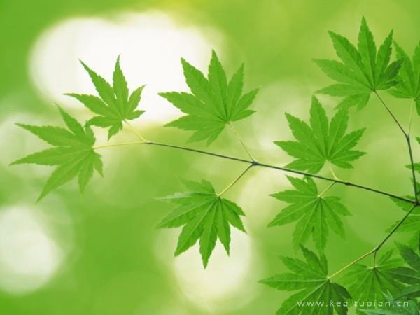 流放的心，在温暖里安放