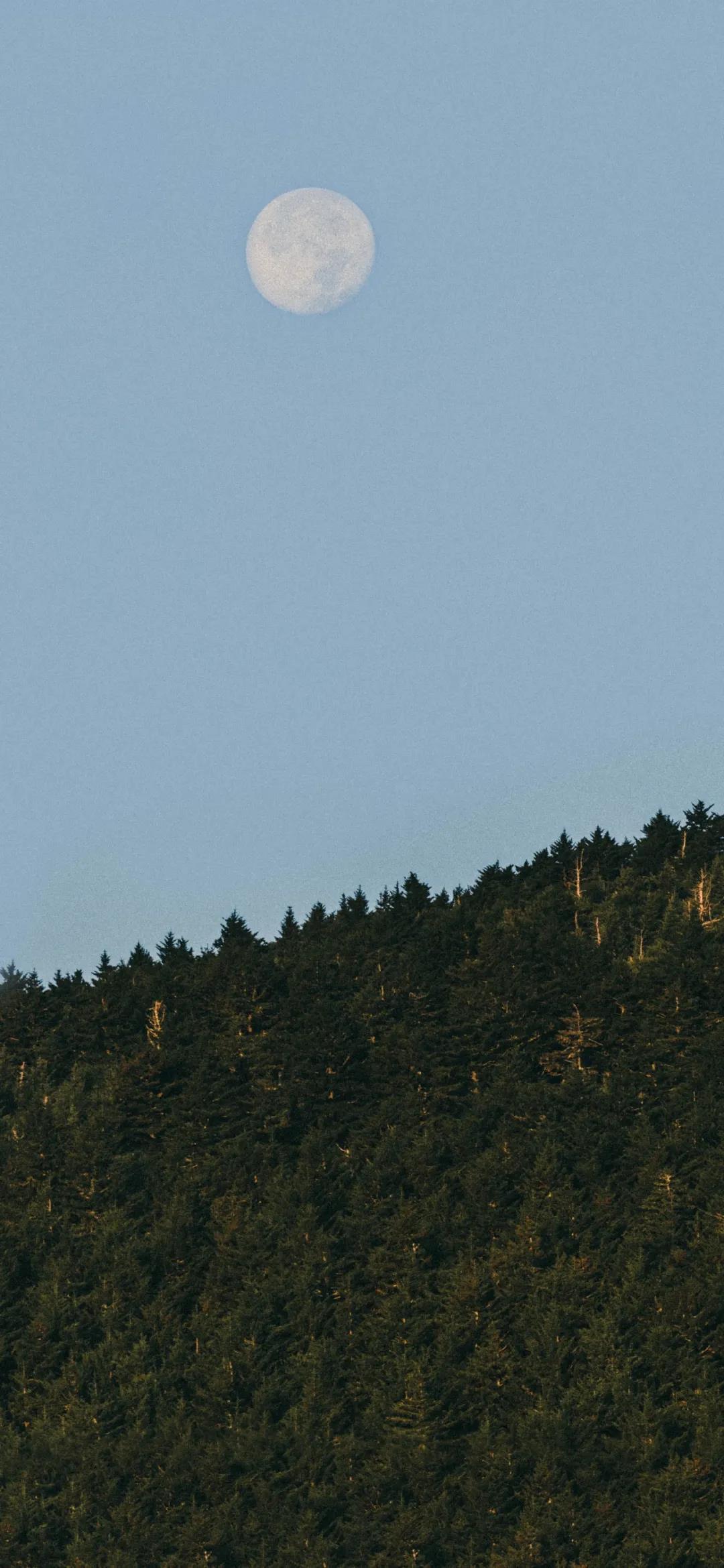 招魂术—远逝的母爱