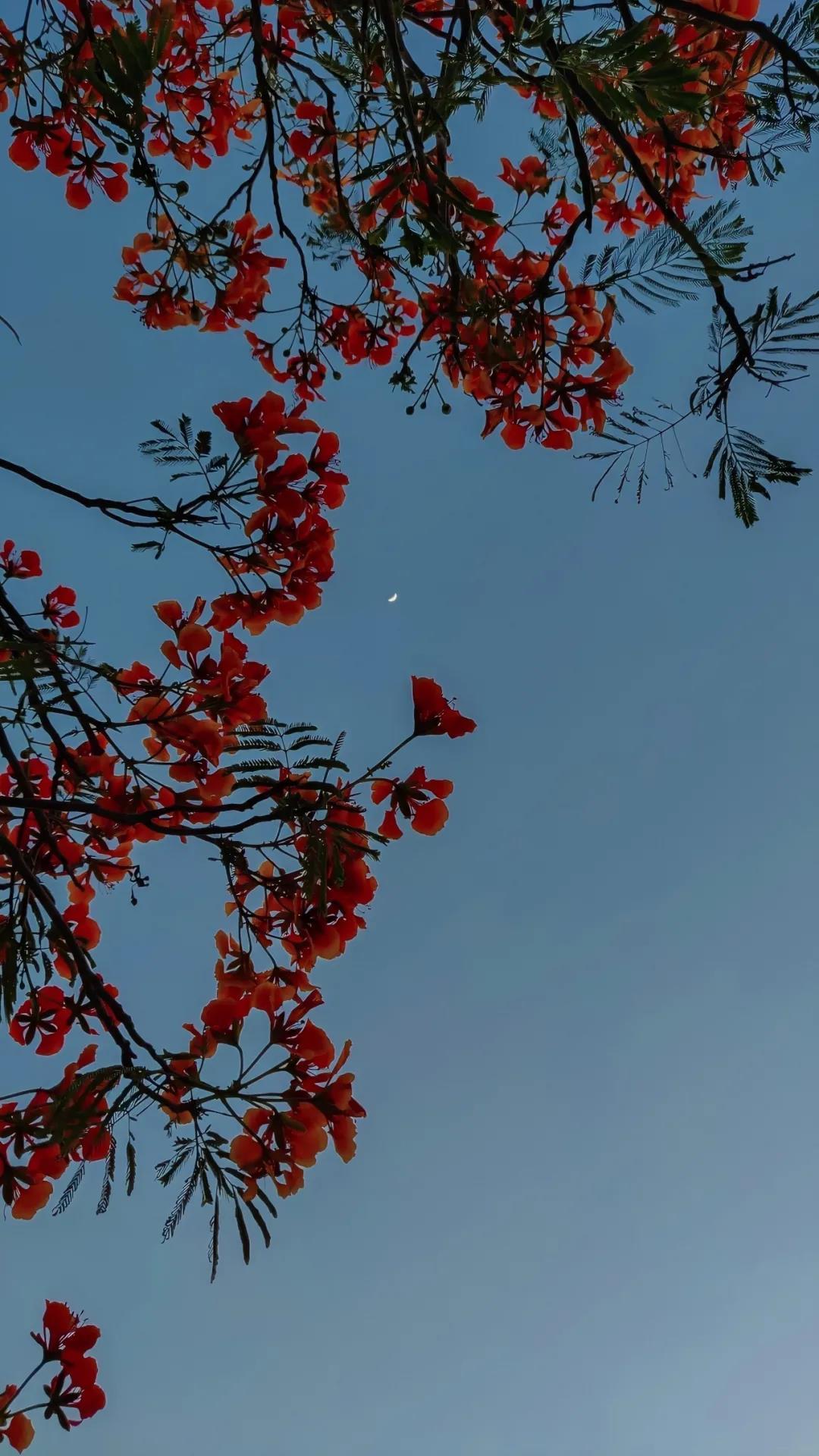 美景，就在身边