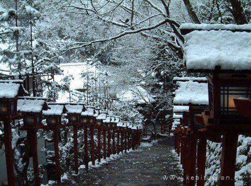 绿水青山听秋声
