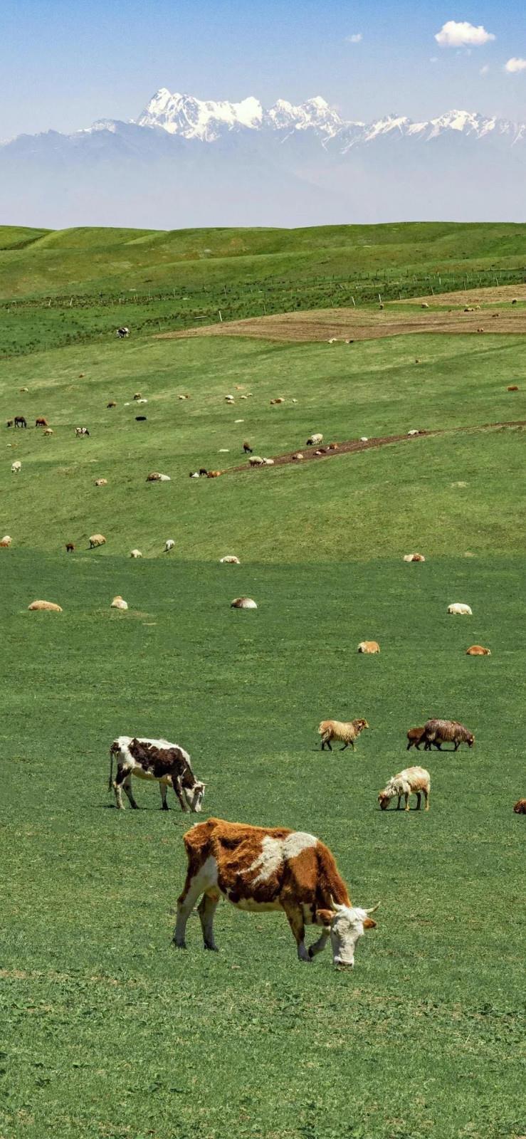 染墨一季的岁月,让书香沉淀心底短文散文