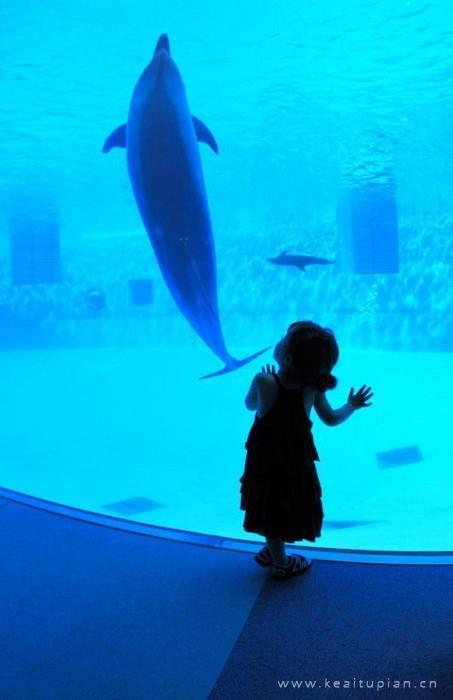 夜半继母的哭声