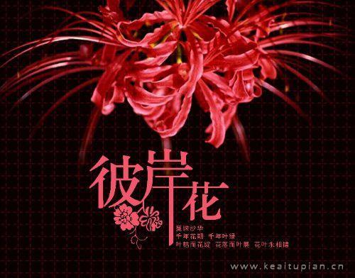 给婚姻一条逃生的路