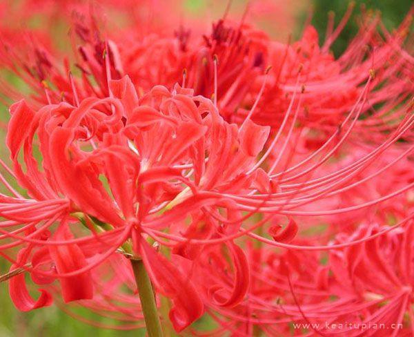 学长我们去宿舍做 攻哄受把腰抬高一点