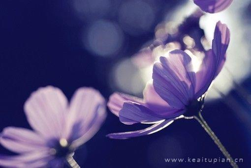 好的婚姻里,我们依旧是自己