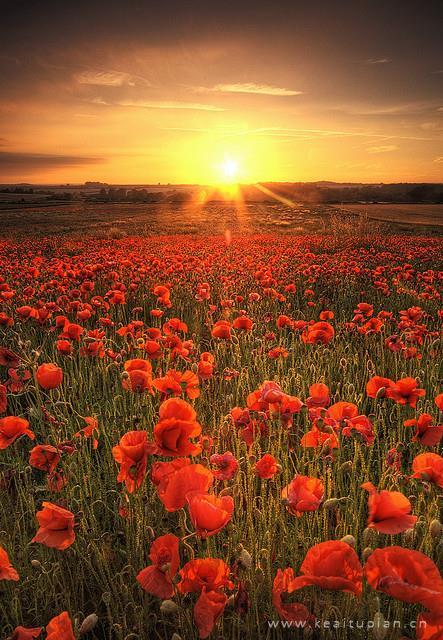 啊不行这是在阳台不可以做 把女人干到不能走路