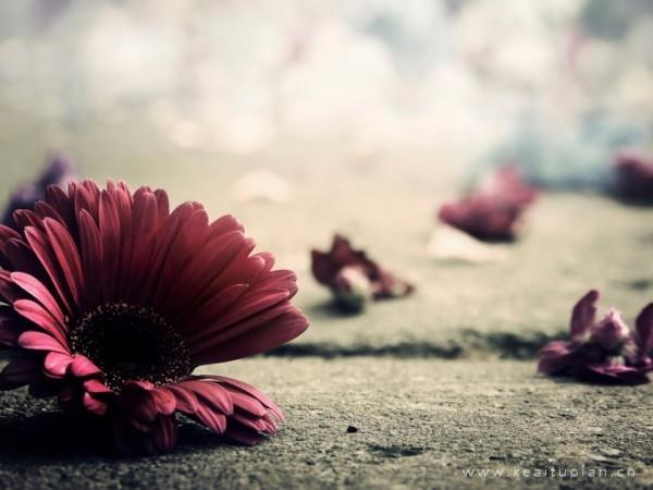 关于婚姻的一些数字