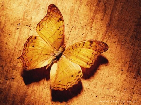 不吵了，一起撑起这个家