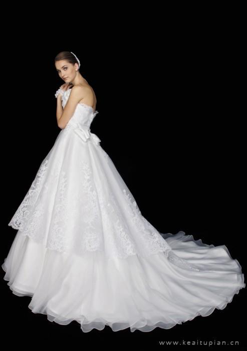 农工党2019年度工作计划